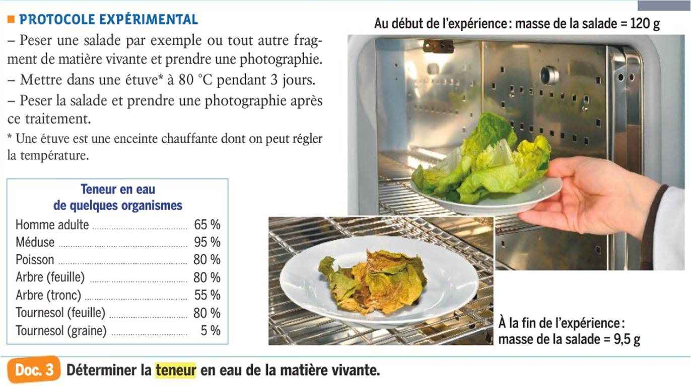 La Teneur En Eau Des Aliments Détermination de la teneur en eau...